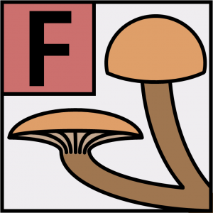 FFF-Logo