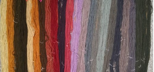 mushroom-dyed wool rainbow