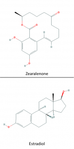 zearalenone and estradiol structure