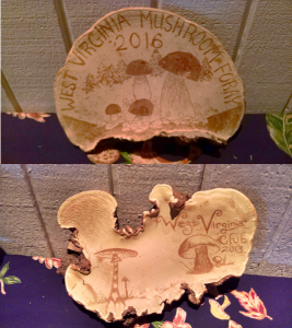 Decorated Ganoderma applanatum