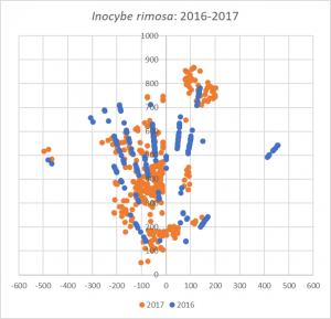 Inocybe Rimosa: 2016 and 2017 Comparison