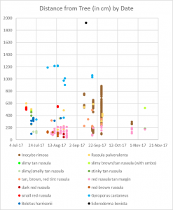 Distance of Mushrooms by Species and Date