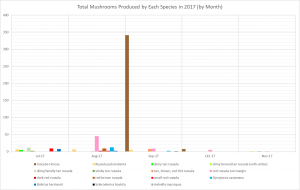 Number of Mushrooms by Species and Date