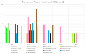 Number of Mushrooms by Species and Date (Logarithmic)