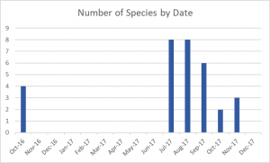 Number of Species by Date