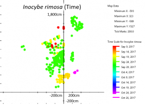 2017 time map inocybe rimosa