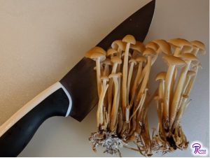 Flammulina velutipes with a cutting board and knife